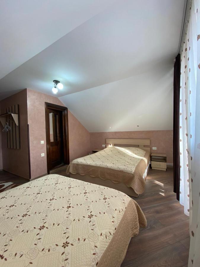 Pensiunea Casa Alexandra Vatra Dornei Bagian luar foto