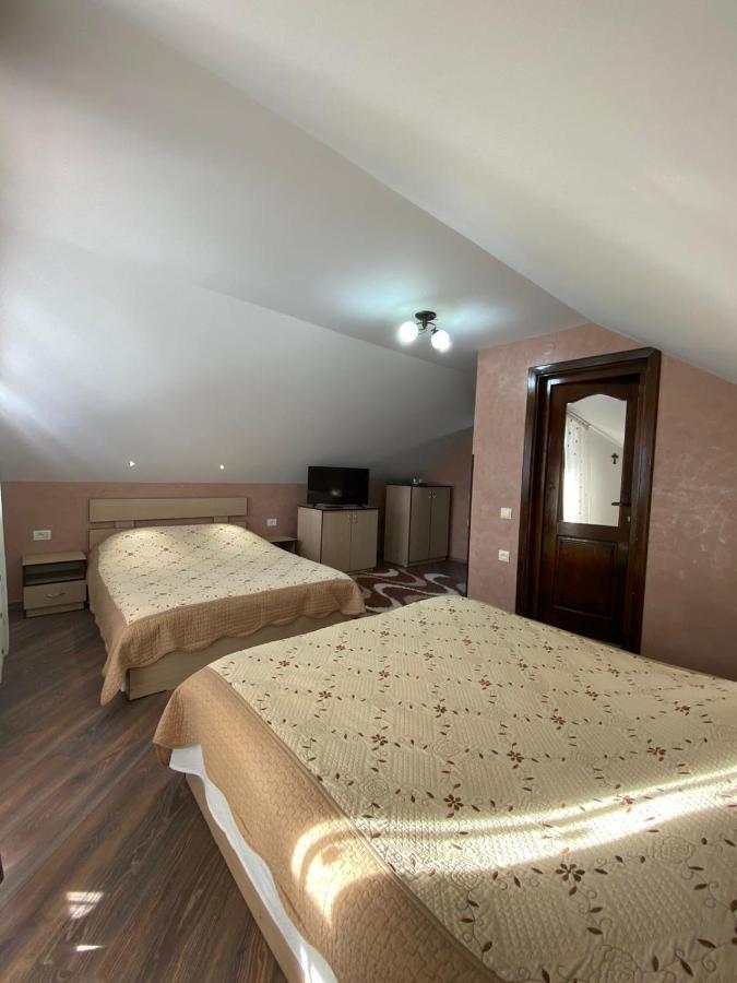 Pensiunea Casa Alexandra Vatra Dornei Bagian luar foto