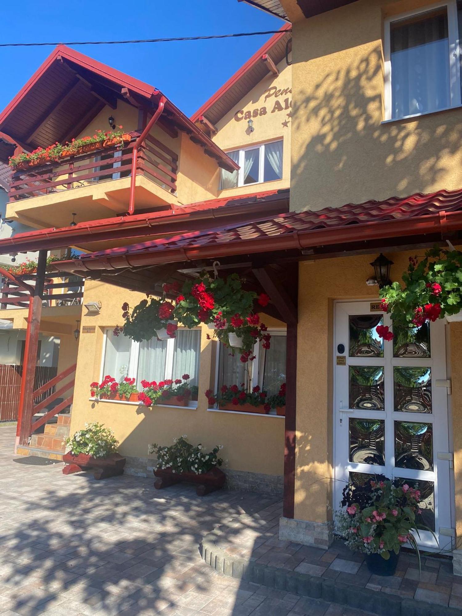 Pensiunea Casa Alexandra Vatra Dornei Bagian luar foto