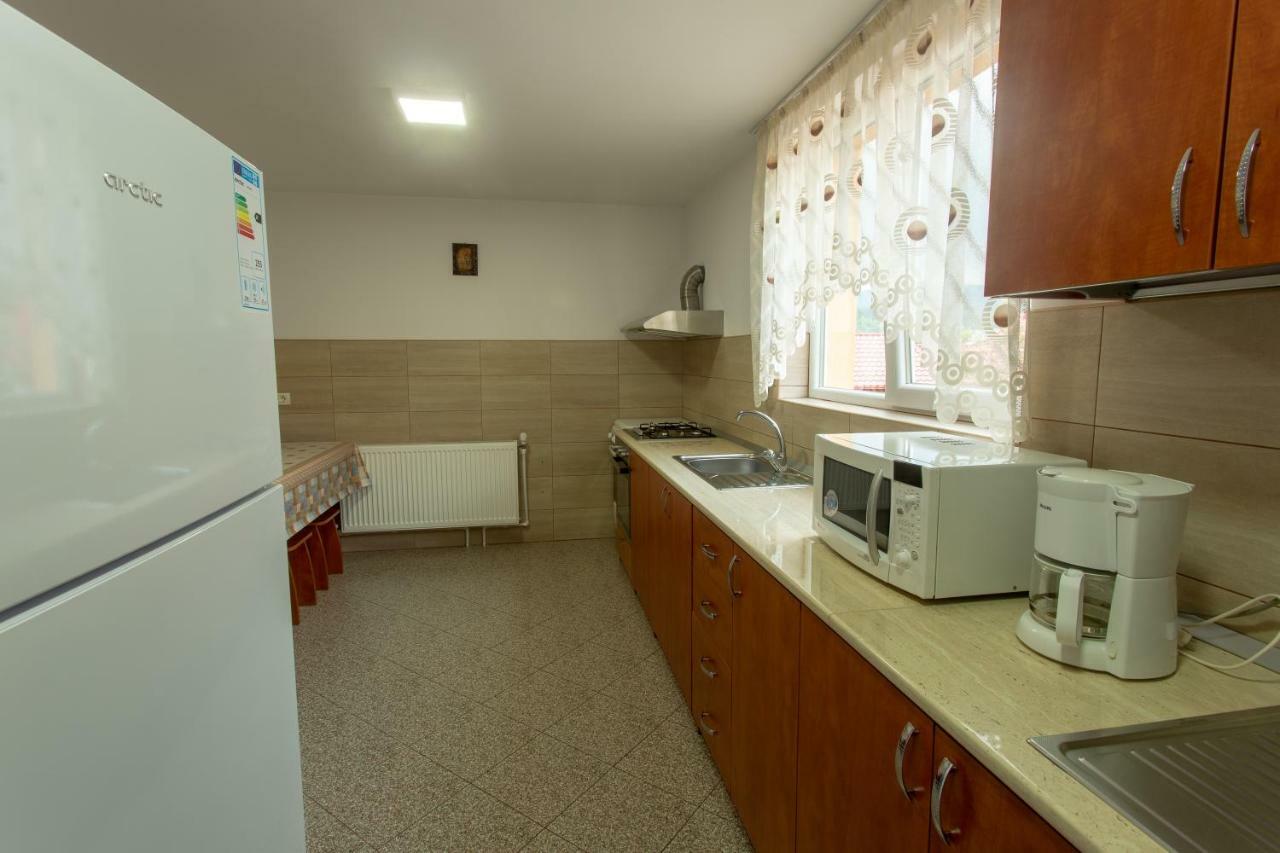 Pensiunea Casa Alexandra Vatra Dornei Bagian luar foto