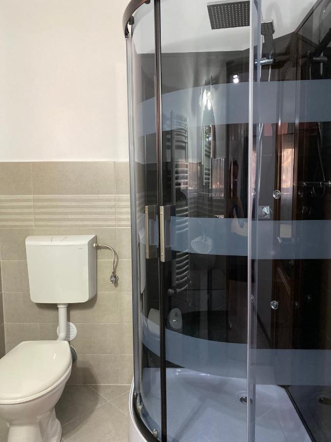 Pensiunea Casa Alexandra Vatra Dornei Bagian luar foto