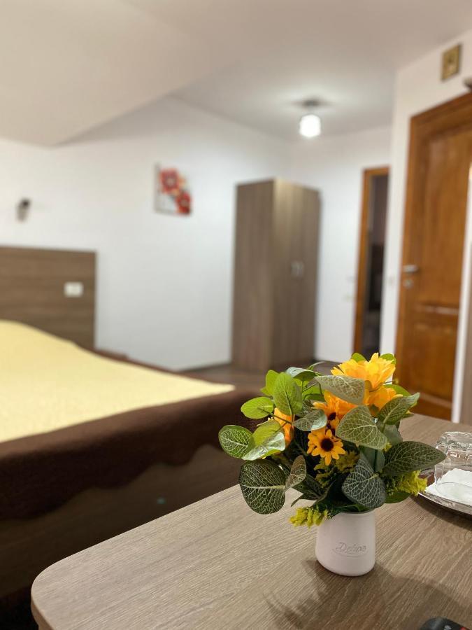 Pensiunea Casa Alexandra Vatra Dornei Bagian luar foto