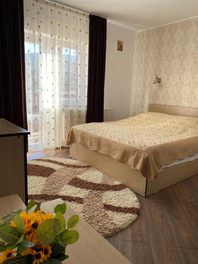 Pensiunea Casa Alexandra Vatra Dornei Bagian luar foto